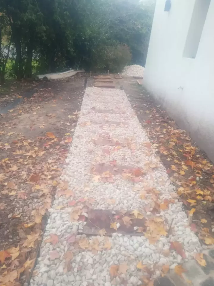 Camino de piedra