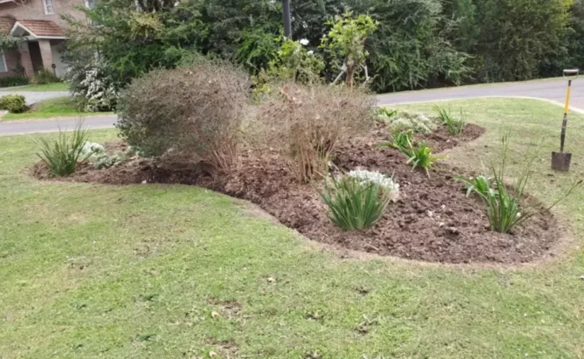 Trabajo de poda y mantenimiento en un jardín residencial